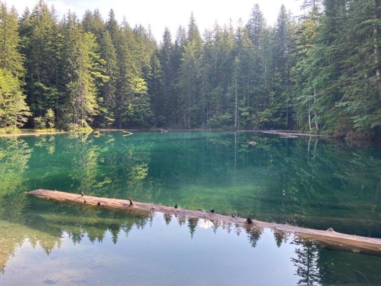 Fewo Berk Kuhnburg Exteriör bild